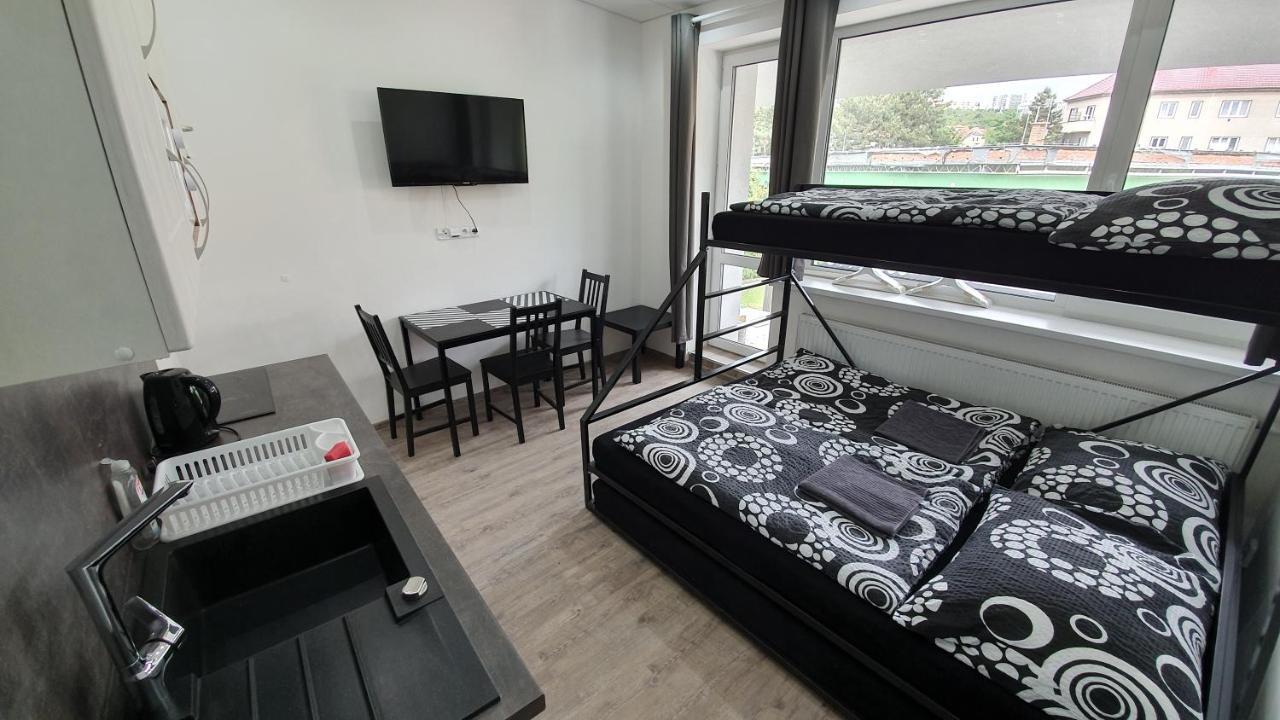 Small Denisa Business Apartment