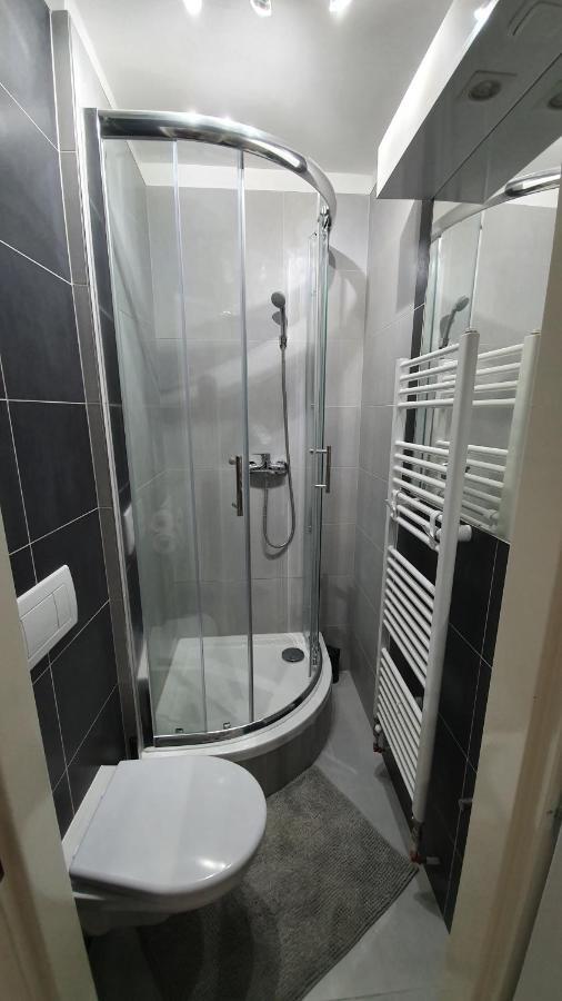 Small Denisa Business Apartment Brno