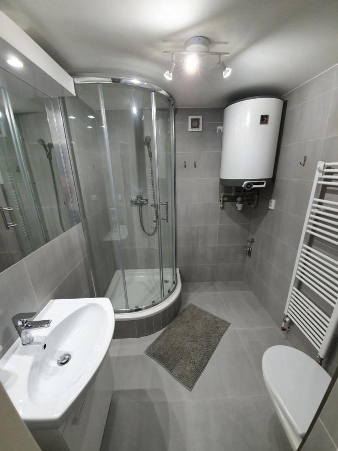 Small Denisa Business Apartment